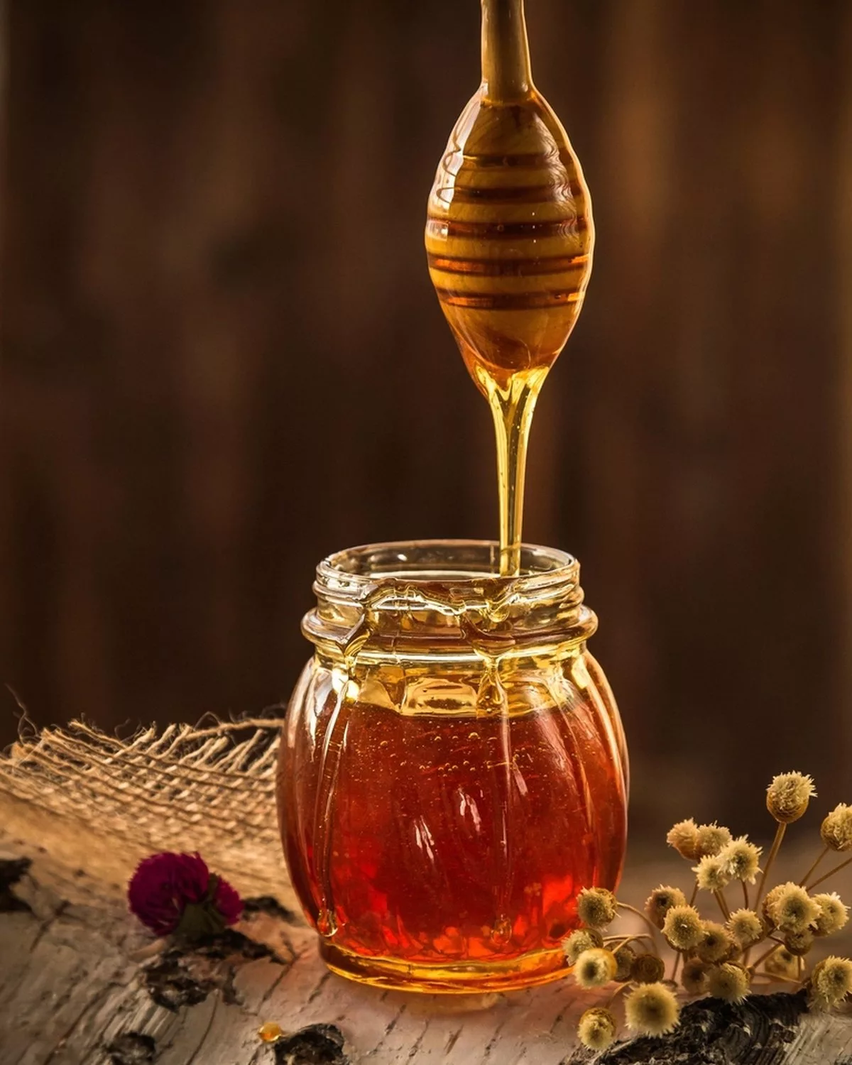 Golden goodness 🍯 — Wild Forest Honey