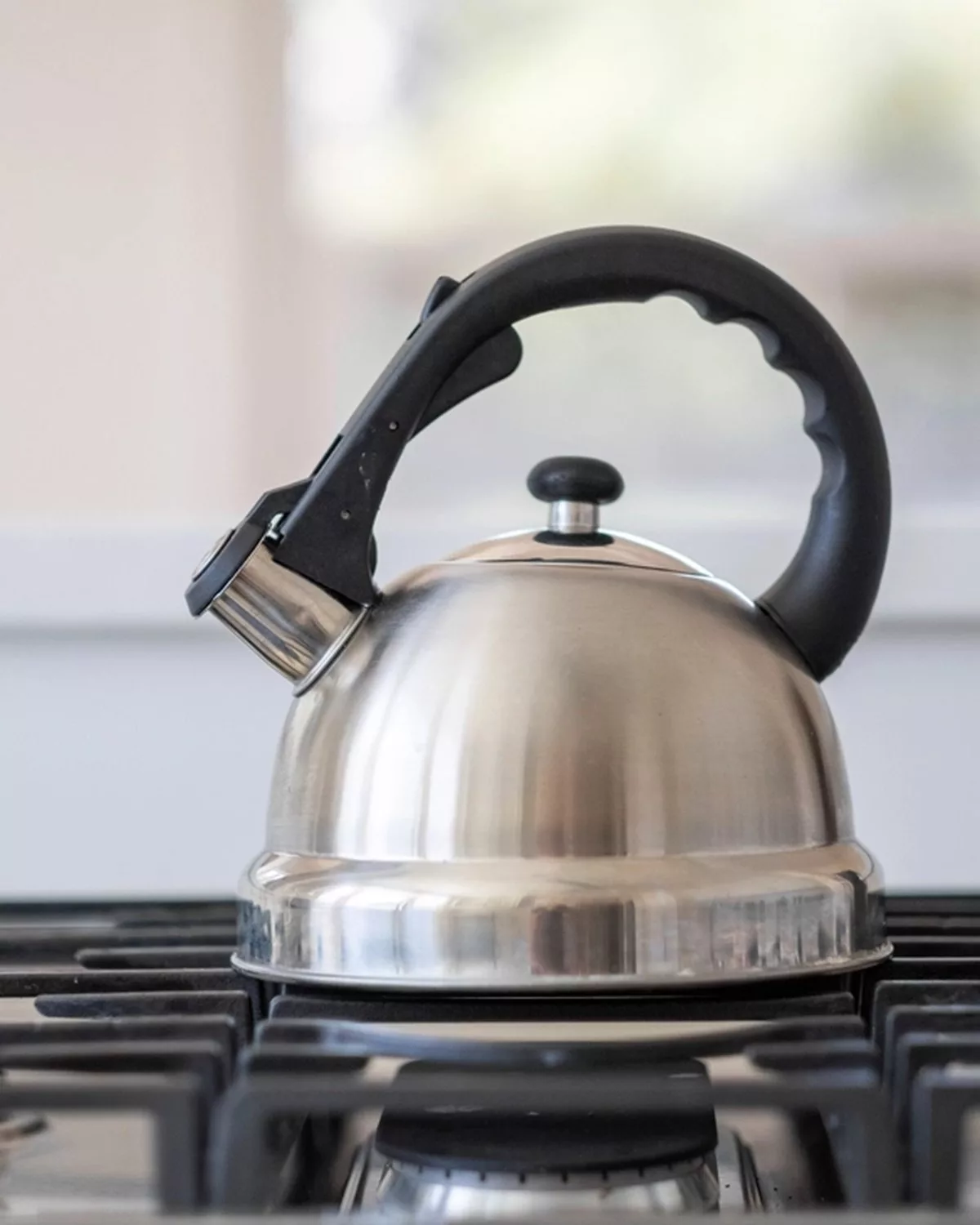 Stainless Steel Whistling Kettle 2.5 L